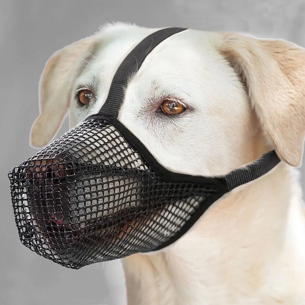 Soft Mesh Covered Dog Muzzle with Adjustable Straps Anti-Biting Breathable Pet Muzzle XL Wholesale Hub