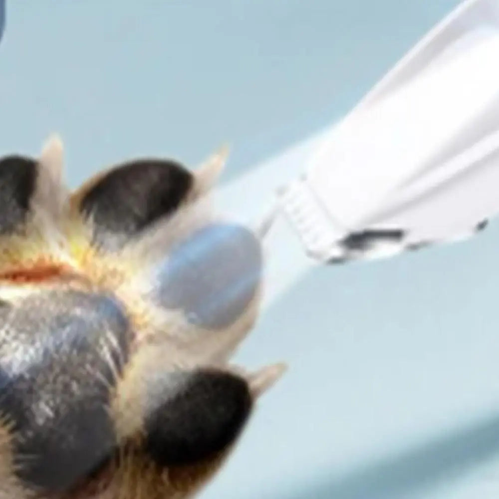 Dog Paw Trimmer with LED Light Rechargeable Pet Hair Clippers for Small Dogs Cats White Wholesale Hub