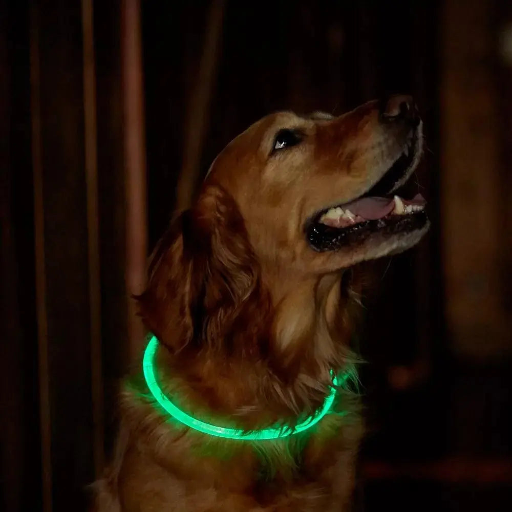 Light-Up Pet Dog Collars USB Rechargeable Pet Collar Adjustable Size Pet Collar Green - L Wholesale Hub