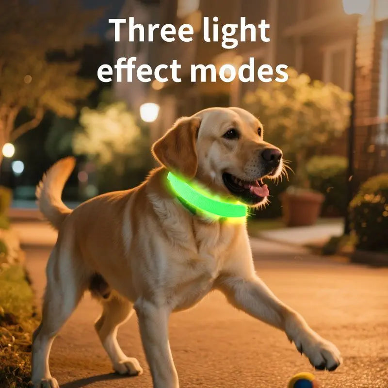 LED Light-Up Pet Collar, Large, Adjustable, USB Rechargeable, for Cats and Dogs, Nighttime Anti-Lost– Orange Wholesale Hub