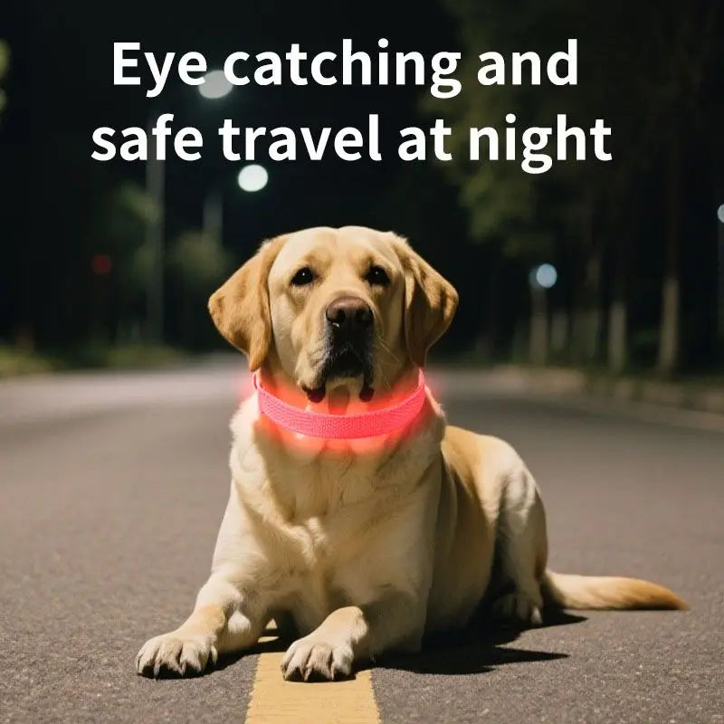 Pet LED Light-Up Collar, Large, Adjustable, USB Rechargeable, for Cats and Dogs, Nighttime Anti-Lost - Pink Wholesale Hub