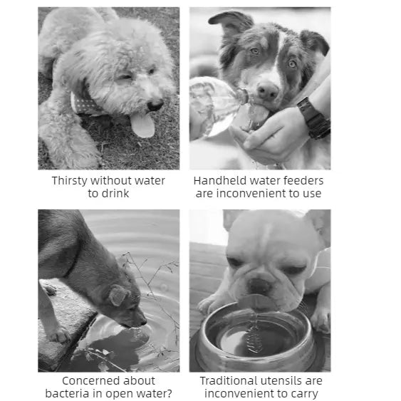 All-in-One Water and Food Pet Travel Cup, Portable Water Dispenser for Dogs and Cats – White Wholesale Hub