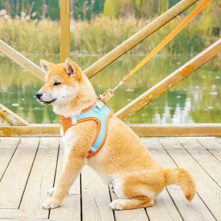 Breathable Reflective Pet Harness Set: Vest-Style Dog Harness + Leash - Pink and Blue-S Wholesale Hub