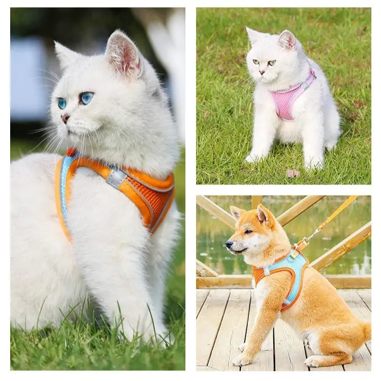 Breathable Reflective Pet Harness Set: Vest-Style Dog Harness + Leash - Black-S Wholesale Hub