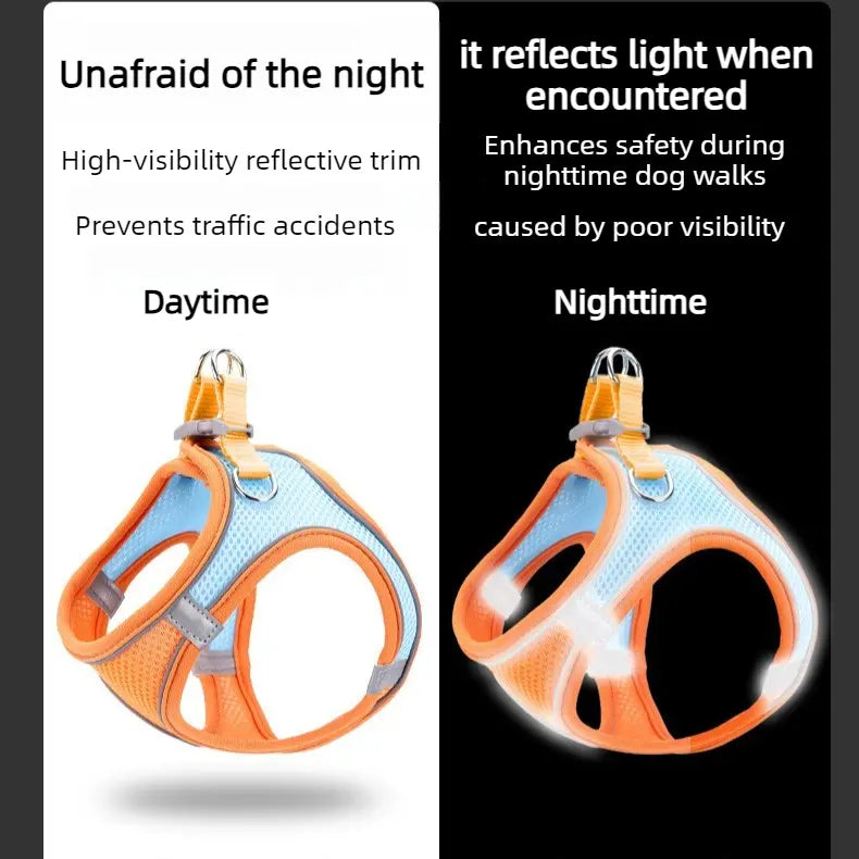 Breathable Reflective Pet Harness Set: Vest-Style Dog Harness + Leash - Black-XS Wholesale Hub