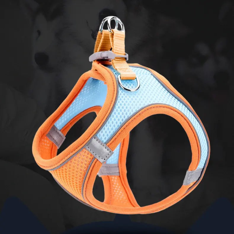 Breathable Reflective Pet Harness Set: Vest-Style Dog Harness + Leash - Blue-XS Wholesale Hub