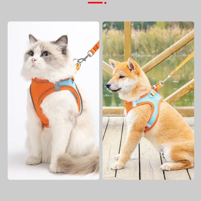 Breathable Reflective Pet Harness Set: Vest-Style Dog Harness + Leash - Blue-XXS Wholesale Hub