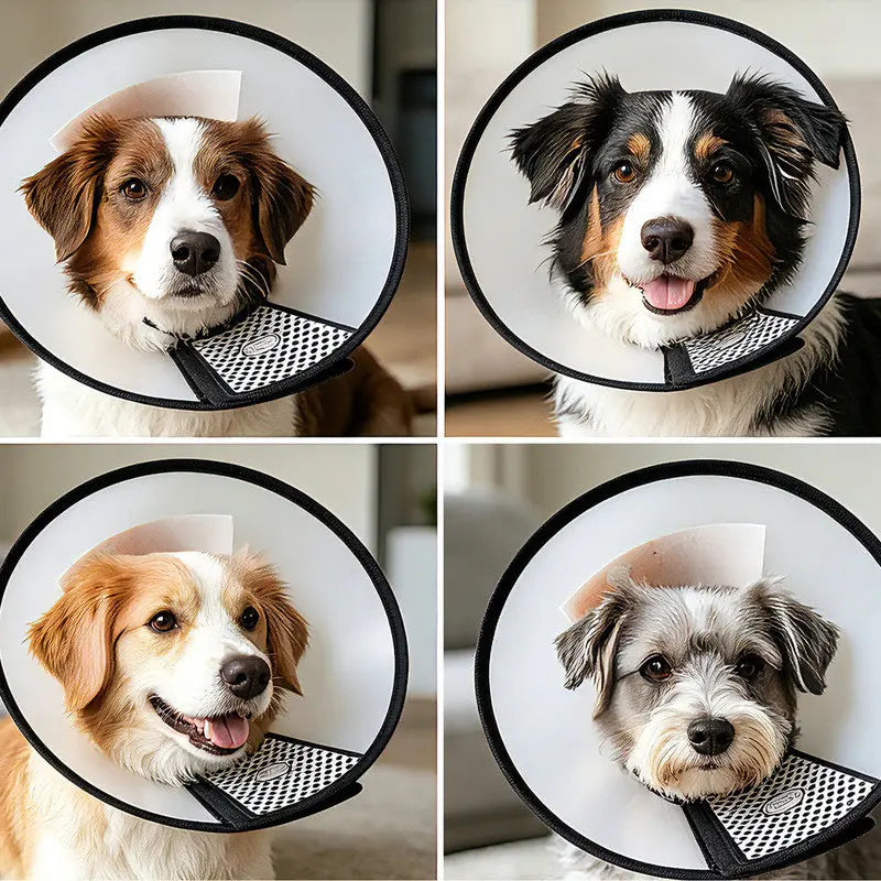 Classic Elizabethan Collar - Anti-Licking Collar - Multiple Sizes - Adjustable - Bite-Resistant - Transparent - Flea & Tick Prevention & Anti-Licking - Velcro Closure - For Cats & Dogs -27-31CM - 1 Piece Wholesale Hub