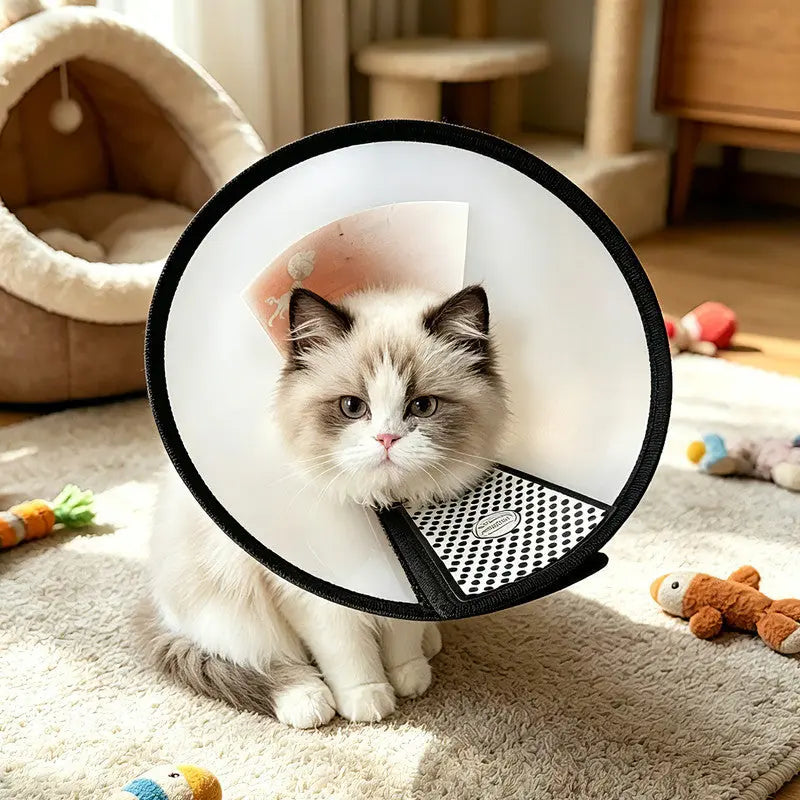 Classic Elizabethan Collar - Anti-Licking Collar - Multiple Sizes - Adjustable - Bite-Resistant - Transparent - Flea & Tick Prevention & Anti-Licking - Velcro Closure - For Cats & Dogs -16-19CM - 1 Piece Wholesale Hub