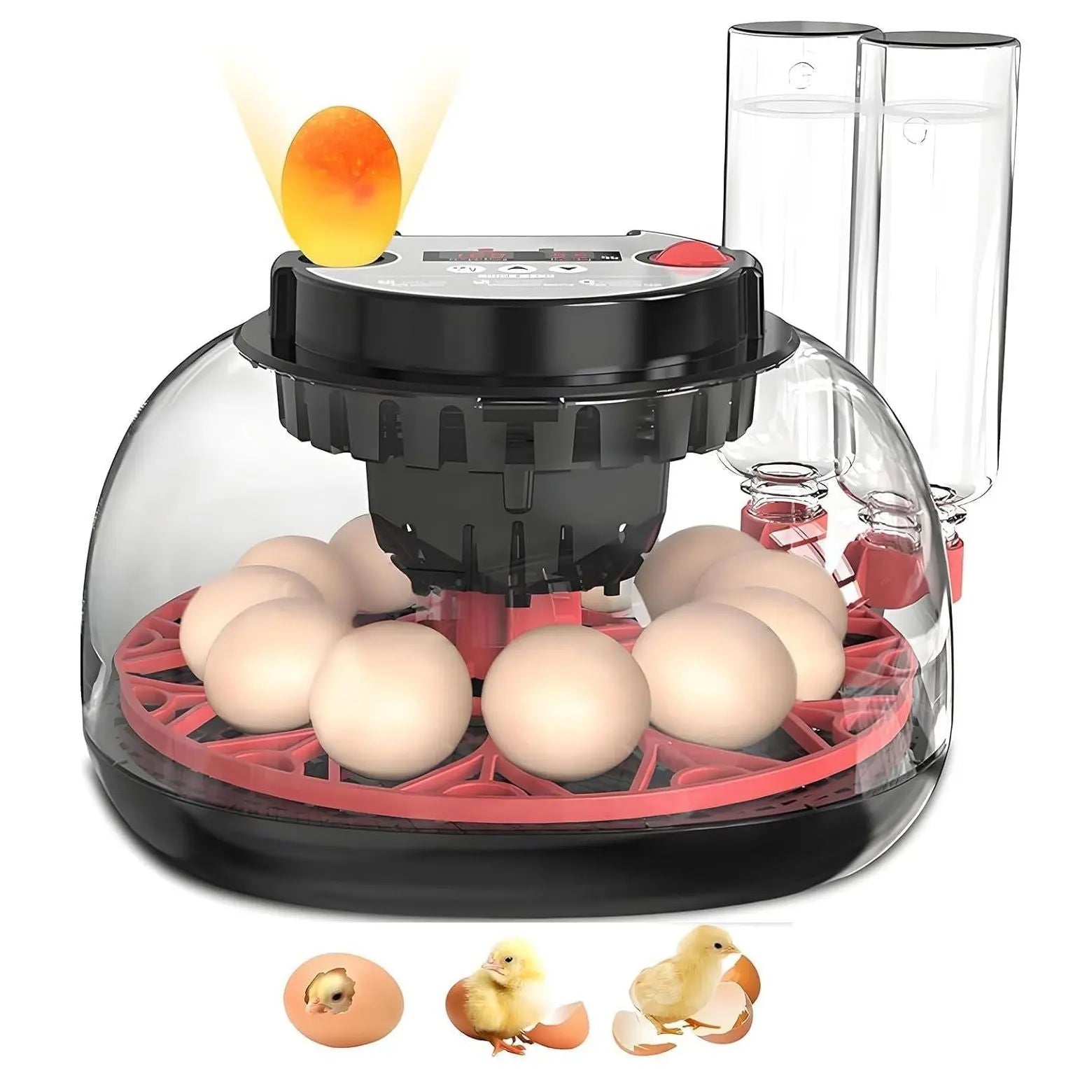 CARLA HOME 12 Egg Incubator with Automatic Turning, LED Display, Humidity & Temperature Control, Auto Water System & Built-in Egg Candler for Chicken, Duck, Quail, Goose Wholesale Hub