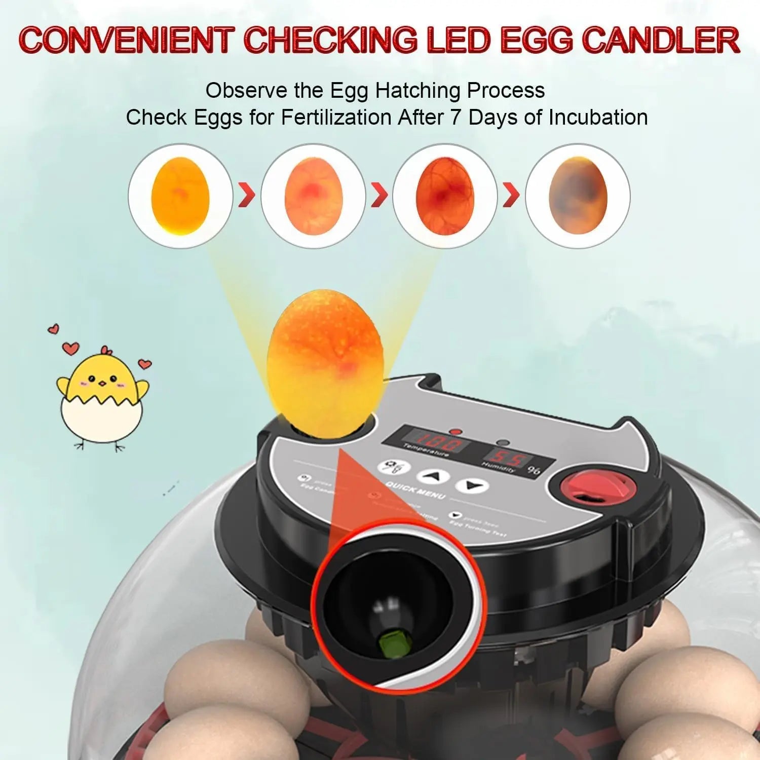 CARLA HOME 12 Egg Incubator with Automatic Turning, LED Display, Humidity & Temperature Control, Auto Water System & Built-in Egg Candler for Chicken, Duck, Quail, Goose Wholesale Hub