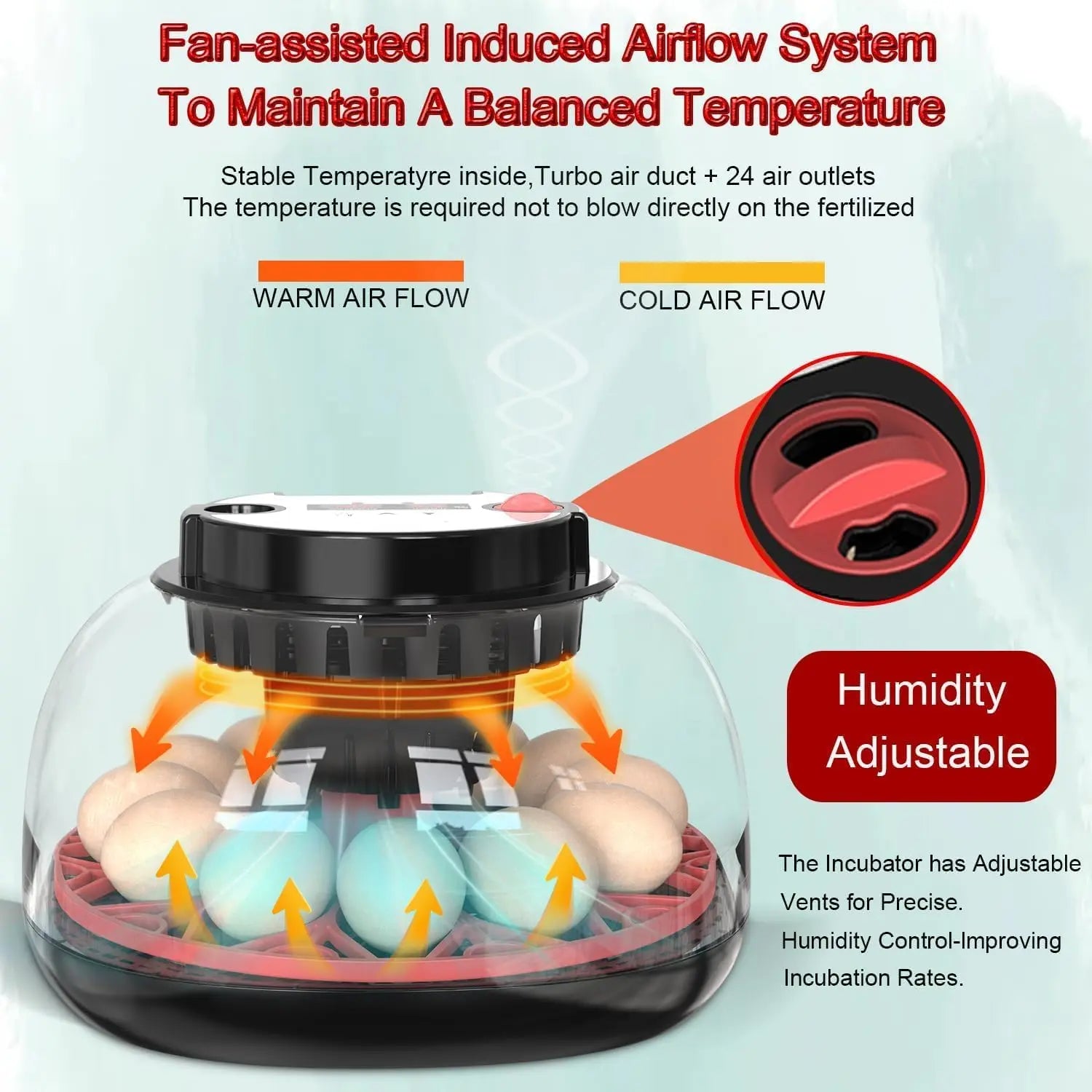 CARLA HOME 12 Egg Incubator with Automatic Turning, LED Display, Humidity & Temperature Control, Auto Water System & Built-in Egg Candler for Chicken, Duck, Quail, Goose Wholesale Hub