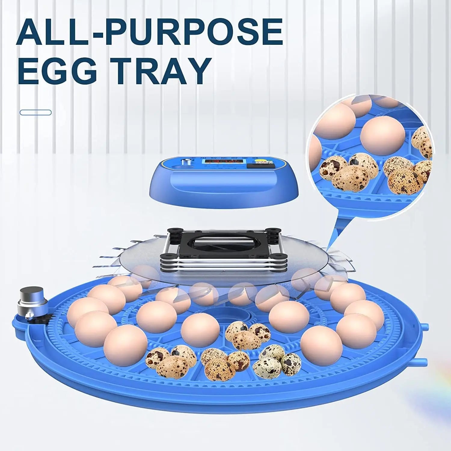 CARLA HOME 52 Egg Incubator with Automatic Turning, LED Display, Humidity & Temperature Control, Auto Water System & Built-in Egg Candler for Chicken, Duck, Quail, Goose Wholesale Hub