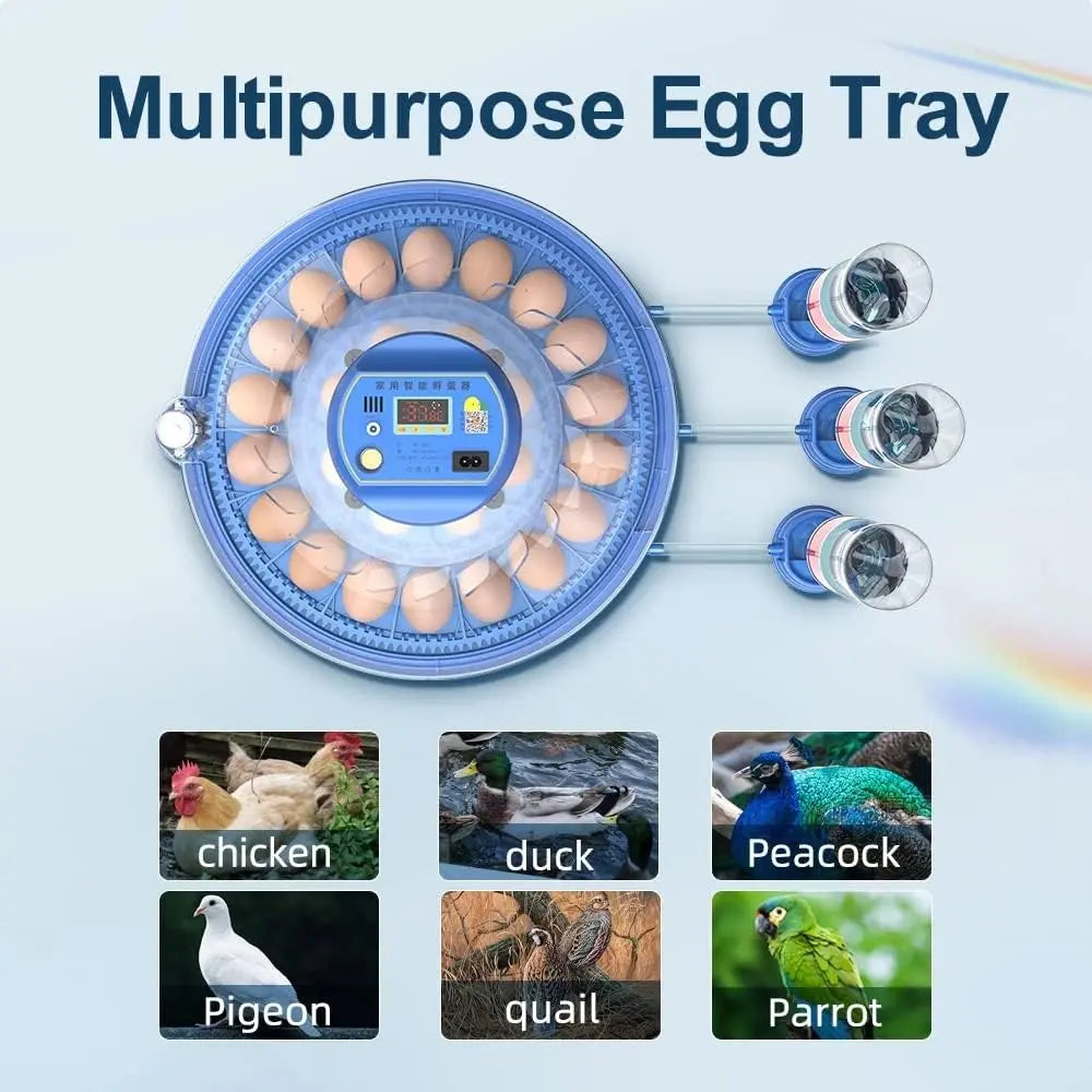 CARLA HOME 52 Egg Incubator with Automatic Turning, LED Display, Humidity & Temperature Control, Auto Water System & Built-in Egg Candler for Chicken, Duck, Quail, Goose Wholesale Hub