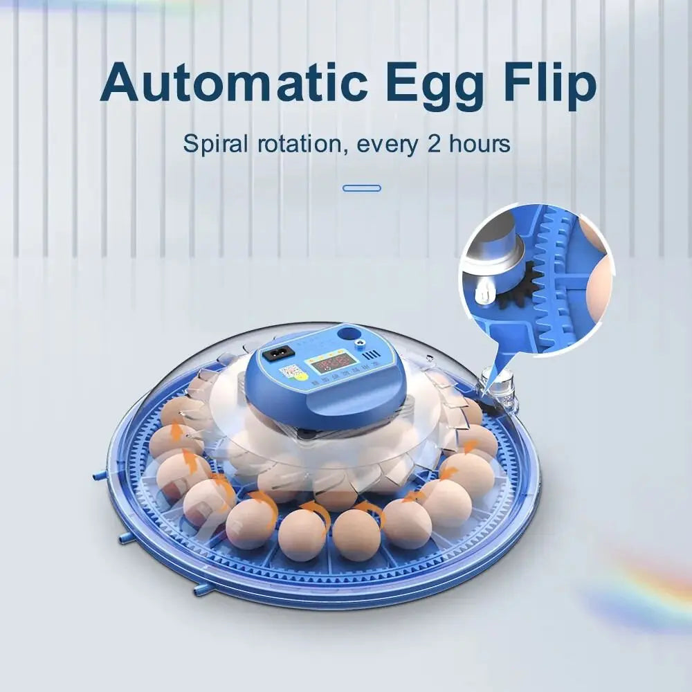 CARLA HOME 52 Egg Incubator with Automatic Turning, LED Display, Humidity & Temperature Control, Auto Water System & Built-in Egg Candler for Chicken, Duck, Quail, Goose Wholesale Hub