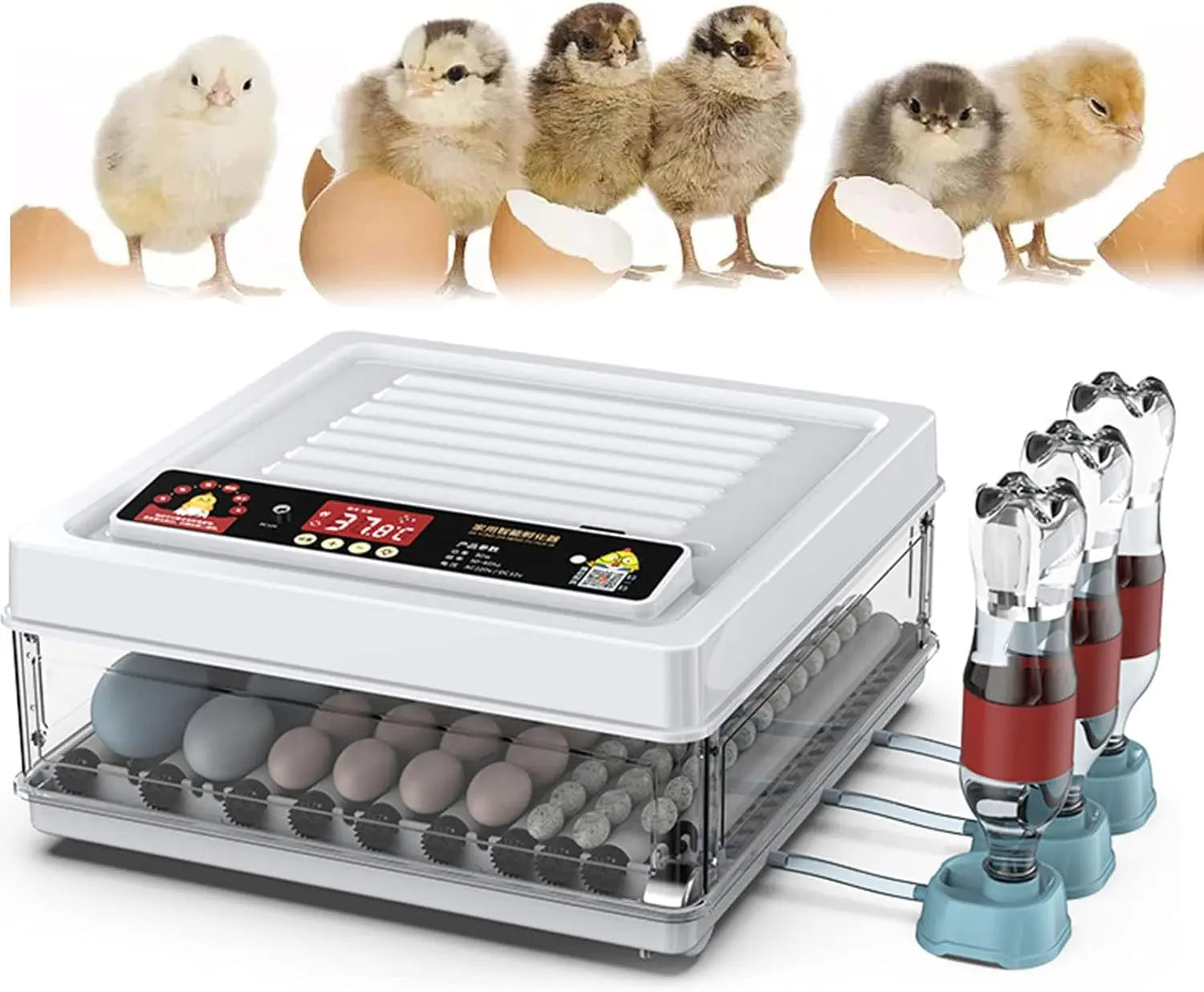 CARLA HOME 70 Egg Incubator with Automatic Turning, LED Display, Humidity & Temperature Control, Auto Water System & Built-in Egg Candler for Chicken, Duck, Quail, Goose Wholesale Hub