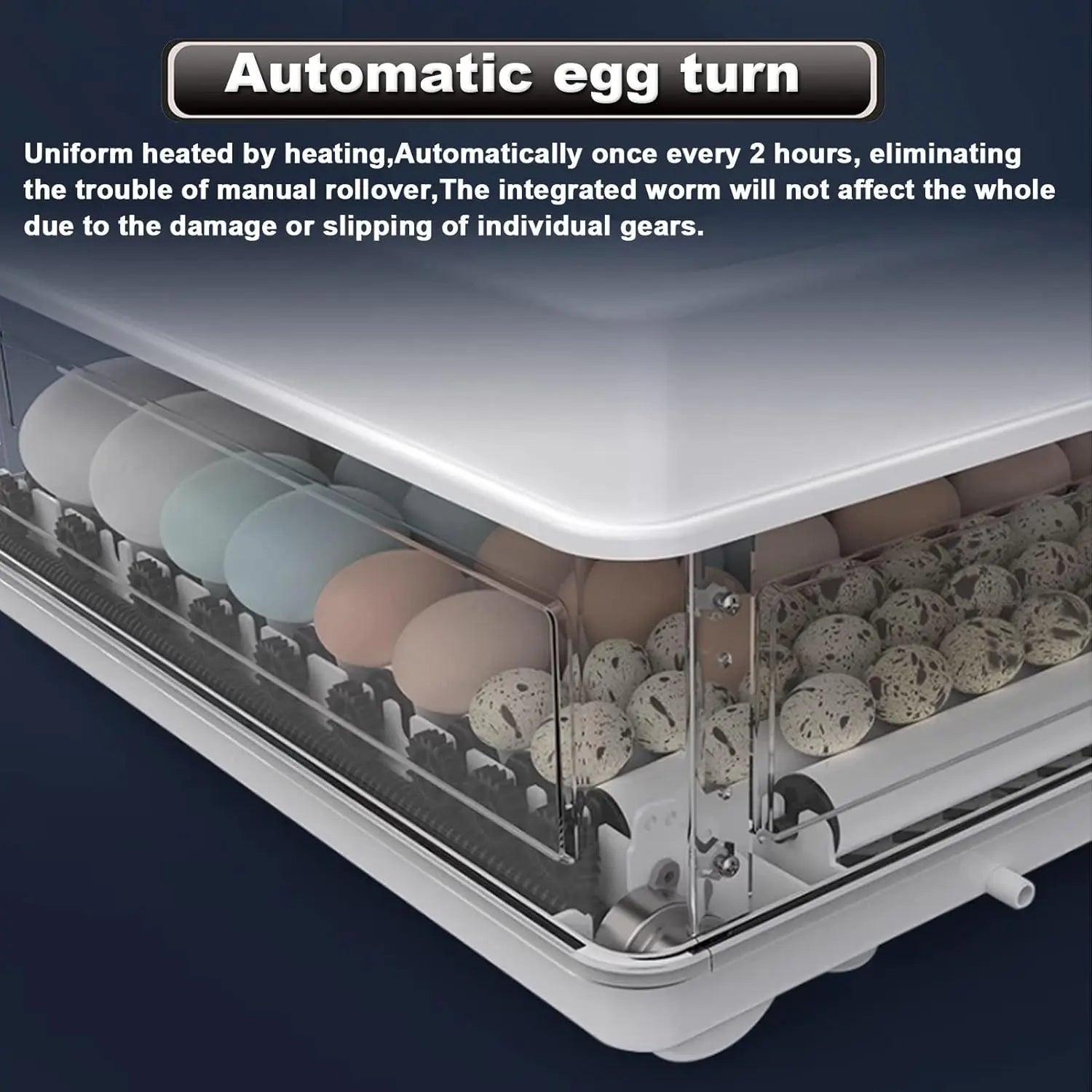 CARLA HOME 70 Egg Incubator with Automatic Turning, LED Display, Humidity & Temperature Control, Auto Water System & Built-in Egg Candler for Chicken, Duck, Quail, Goose Wholesale Hub
