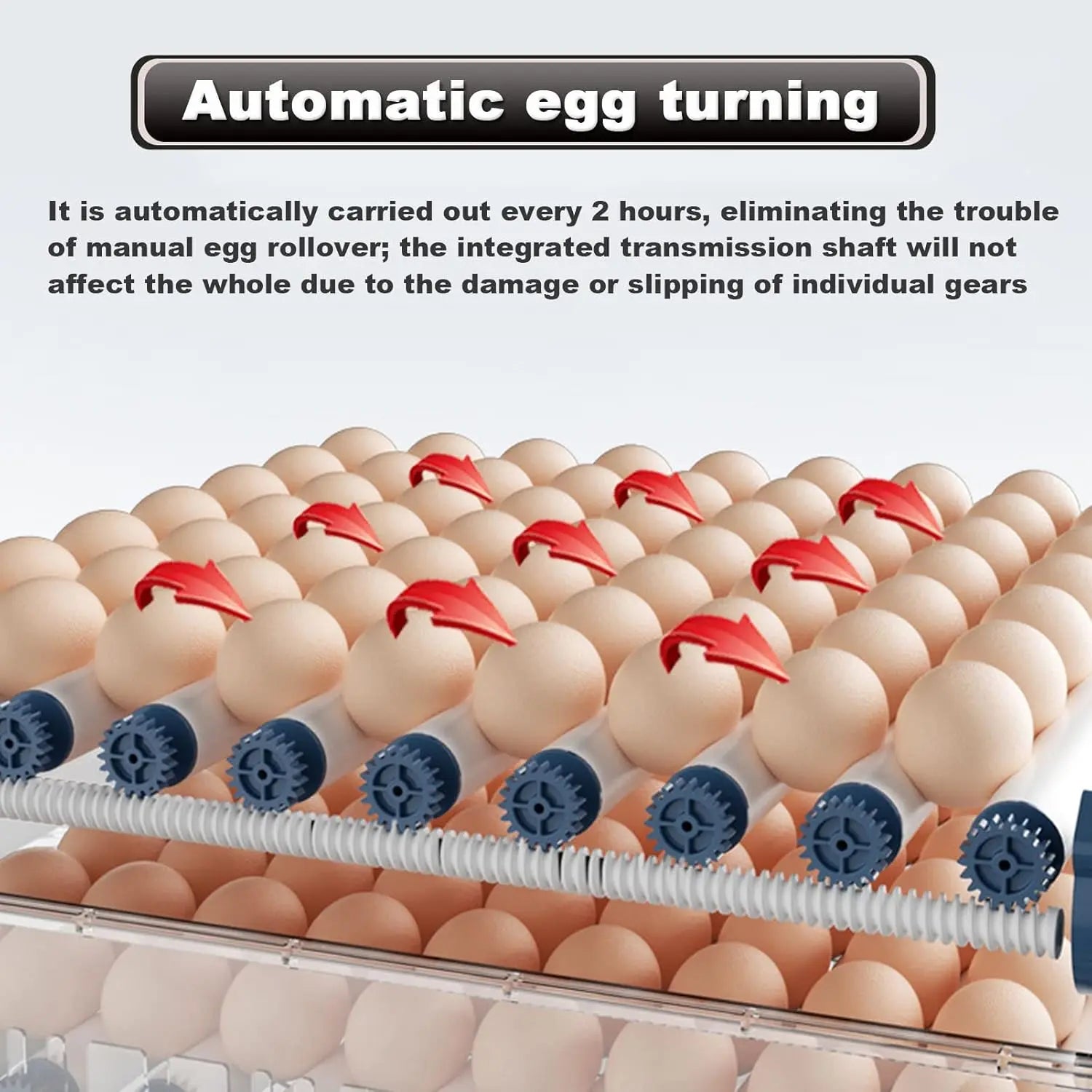 CARLA HOME 128 Egg Incubator with Automatic Turning, LED Display, Humidity & Temperature Control, Auto Water System & Built-in Egg Candler for Chicken, Duck, Quail, Goose Wholesale Hub