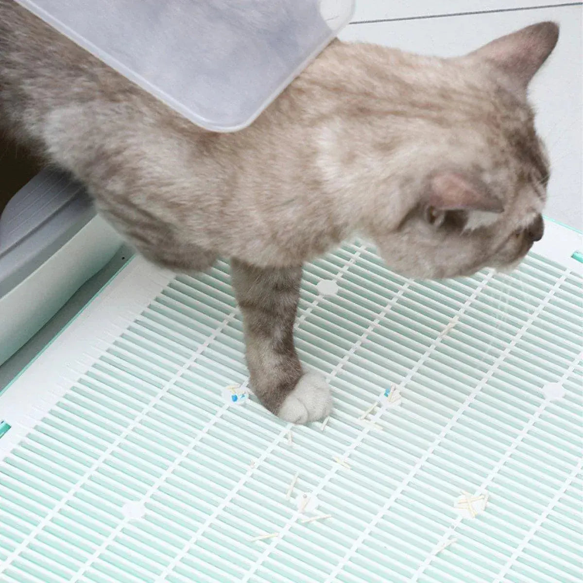 Anti Spill Cat Litter Mat Double Layer Pet Toilet Mat for Litter Box - Blue Wholesale Hub