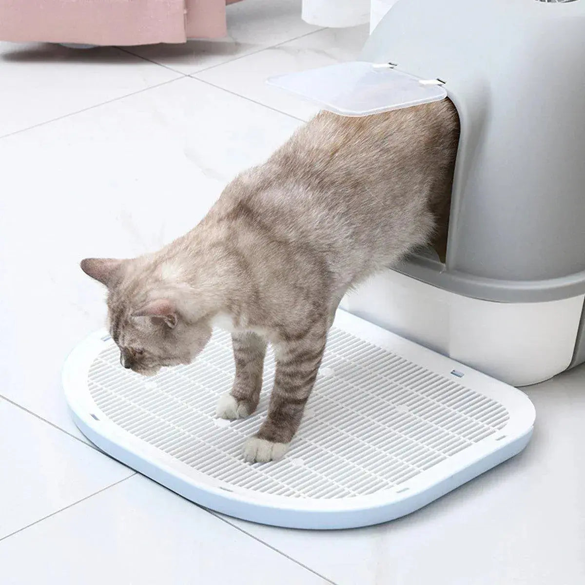 Anti Spill Cat Litter Mat Double Layer Pet Toilet Mat for Litter Box - Blue Wholesale Hub