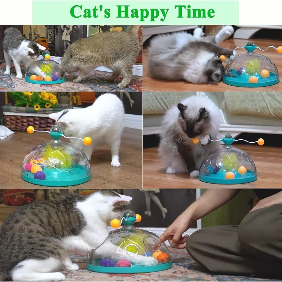 Interactive Windmill Cat Teaser Toy Treasure Box with Stick Fun Play for Pets - Green Wholesale Hub