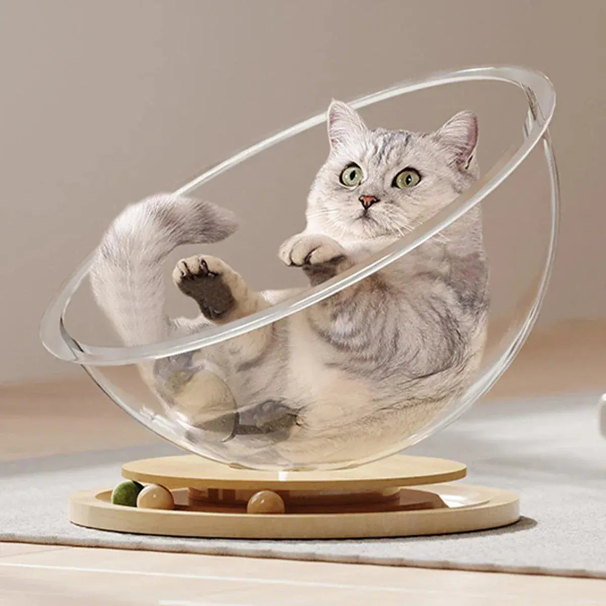Four Seasons Acrylic Space Capsule Cat Bed Semi-closed Cool Nest Turntable Toy - L Wholesale Hub