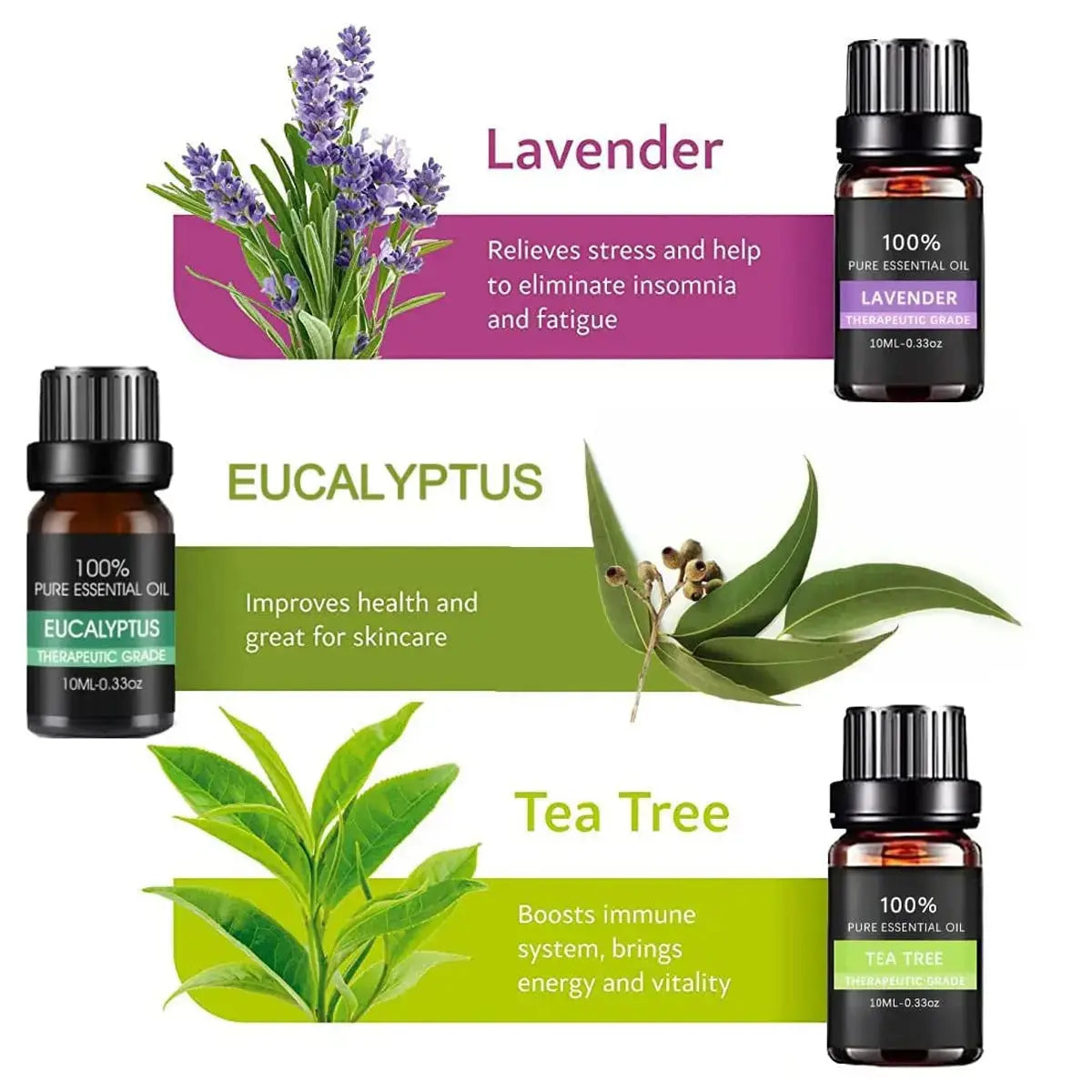 Essential Oil Set 6 Bottles Plant Aromatherapy Oils Natural Scent for Diffuser Wholesale Hub