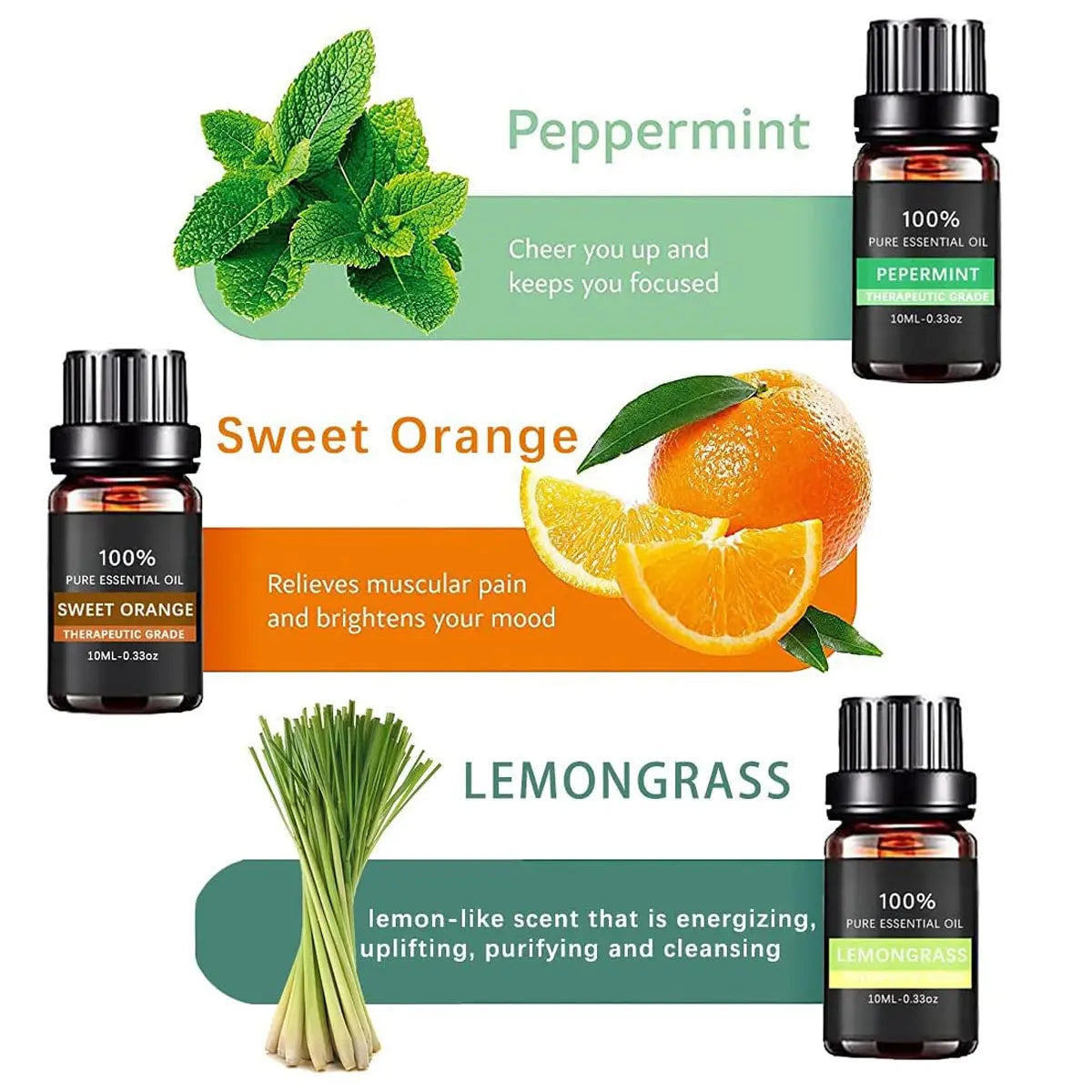 Essential Oil Set 6 Bottles Plant Aromatherapy Oils Natural Scent for Diffuser Wholesale Hub