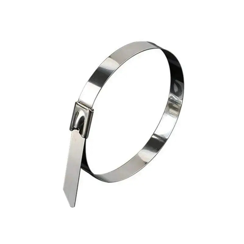 100x Stainless Steel Cable Ties SS304 Marine Grade Zip Strap Locking Wrap 100-800mm - 4.6*350mm Wholesale Hub