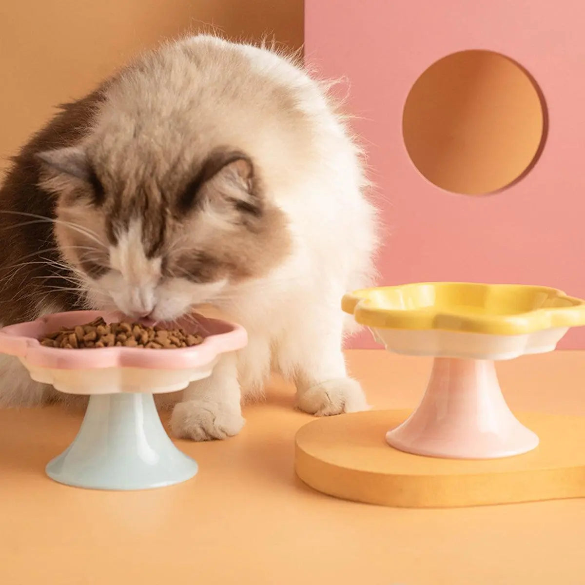 Flower Ceramic Cat Bowl Pet Food Bowl Snack Tray for Cats and Small Pets Feeding - Yellow Wholesale Hub
