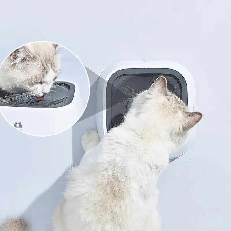 1.5L Pet Water Bowl No-Spill Design Slow Drinking Feeder with Non-Slip Base - Blue Wholesale Hub