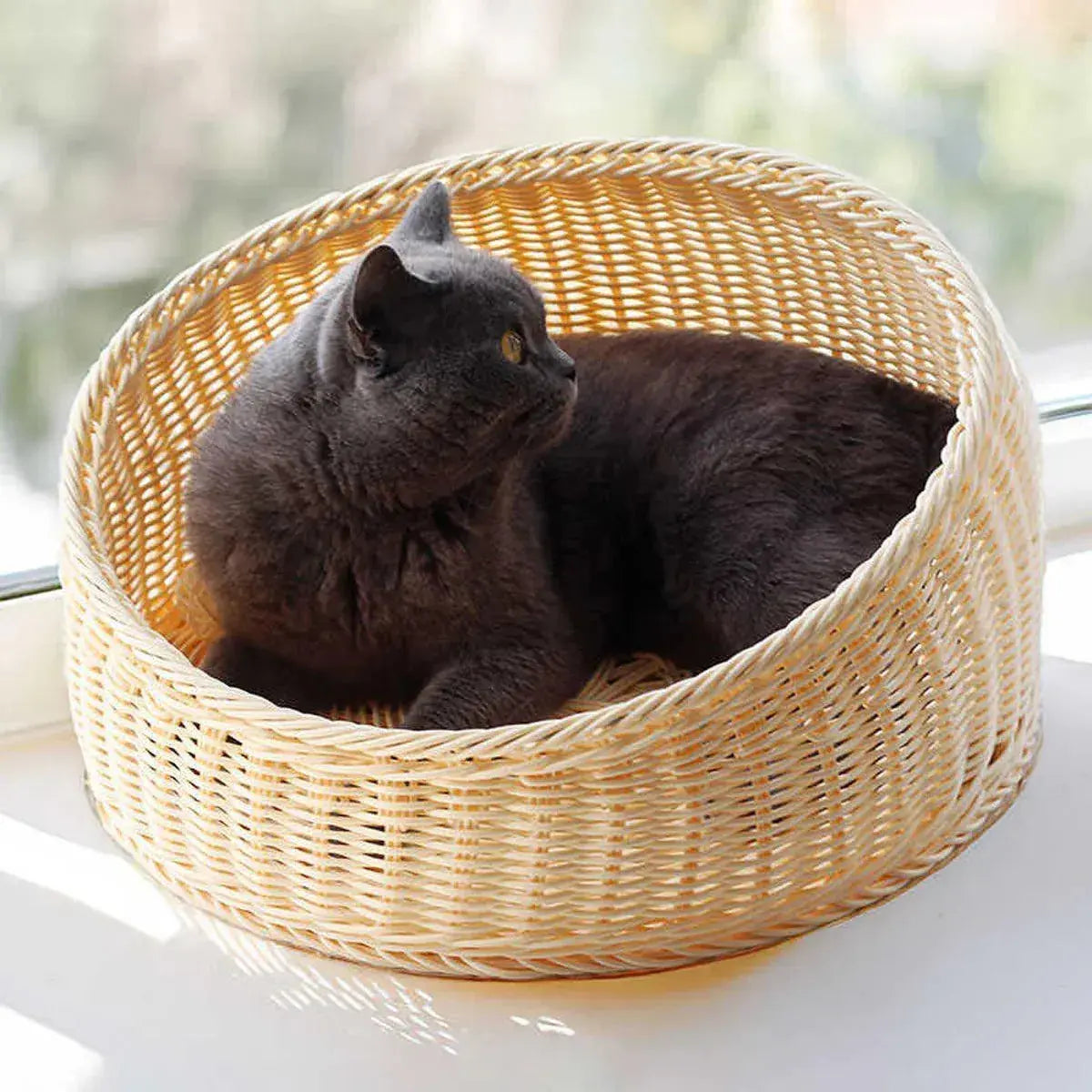 Rattan Cat Nest Four Seasons Open Cat House Summer Bed for Cats Pet Supplies - Coffee Wholesale Hub