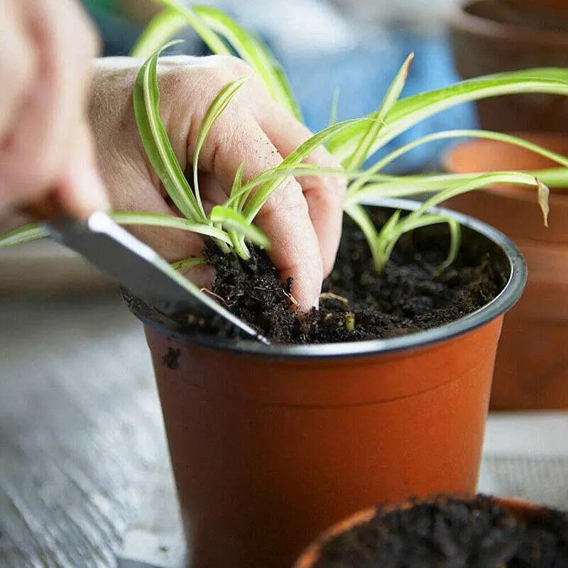 20Pcs Plastic Plant Pots Nursery Garden Seedling Flower Growing Containers - BN170-16.8x14cm Wholesale Hub