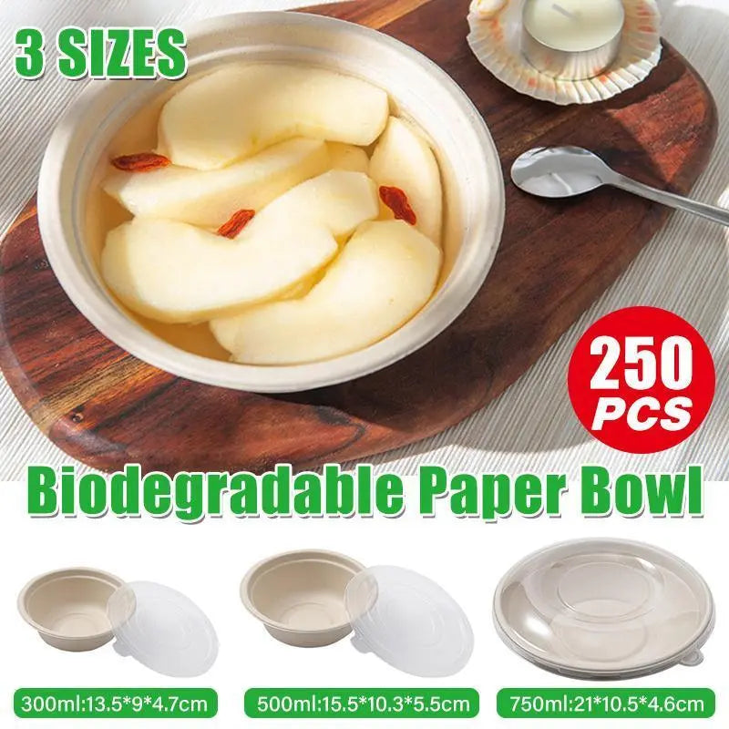 250PCS Food Preparation Burger Storages Cake Packaging Box Lunch Boxes Primary - Primary 350ml+PP lid Wholesale Hub