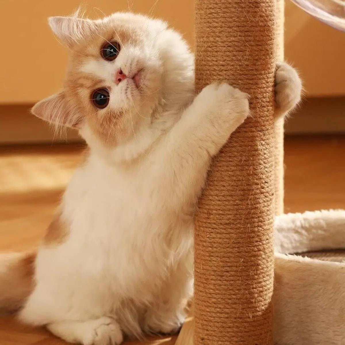 2pcs Sisal Cat Scratching Post Climbing Frame Replacement Pole for Cats Activity - 20cm Wholesale Hub