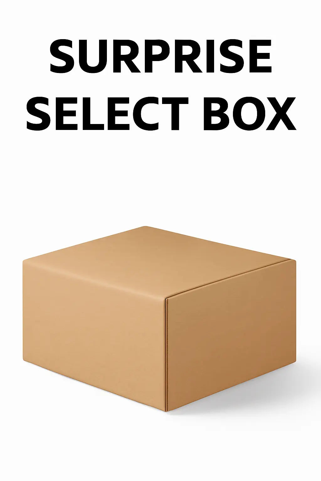 The Surprise Select Box Wholesale Hub