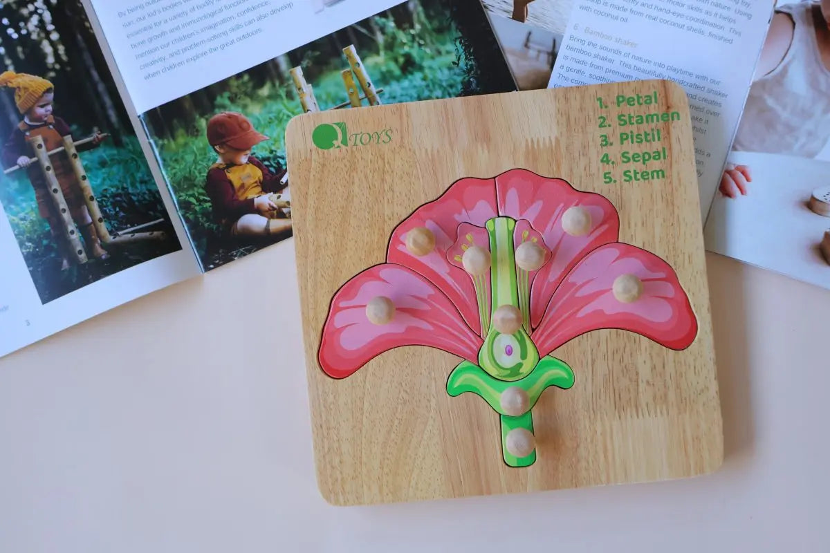 Montessori Parts of a Flower Puzzle Wholesale Hub