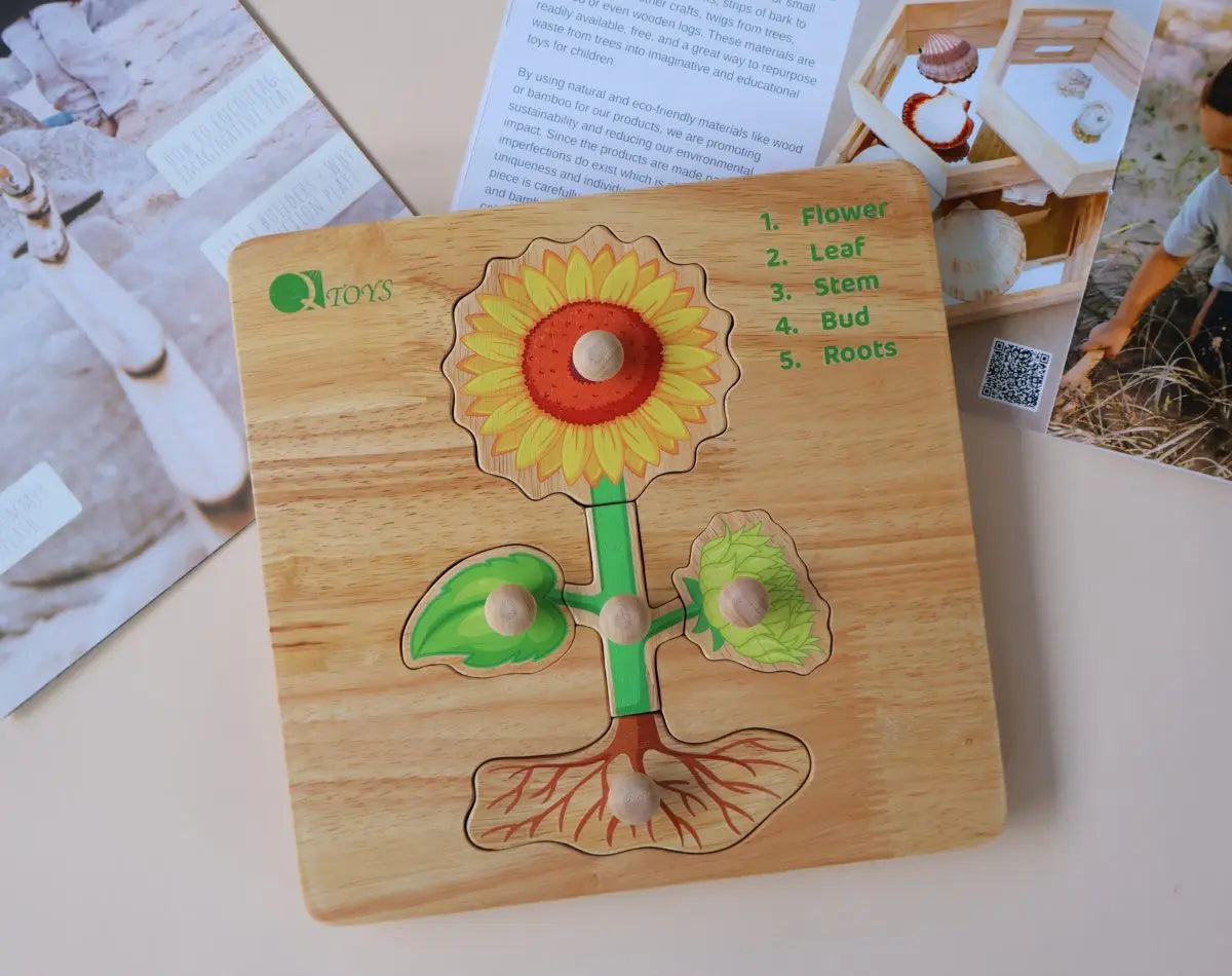 Montessori Parts of a Plant Puzzle Wholesale Hub
