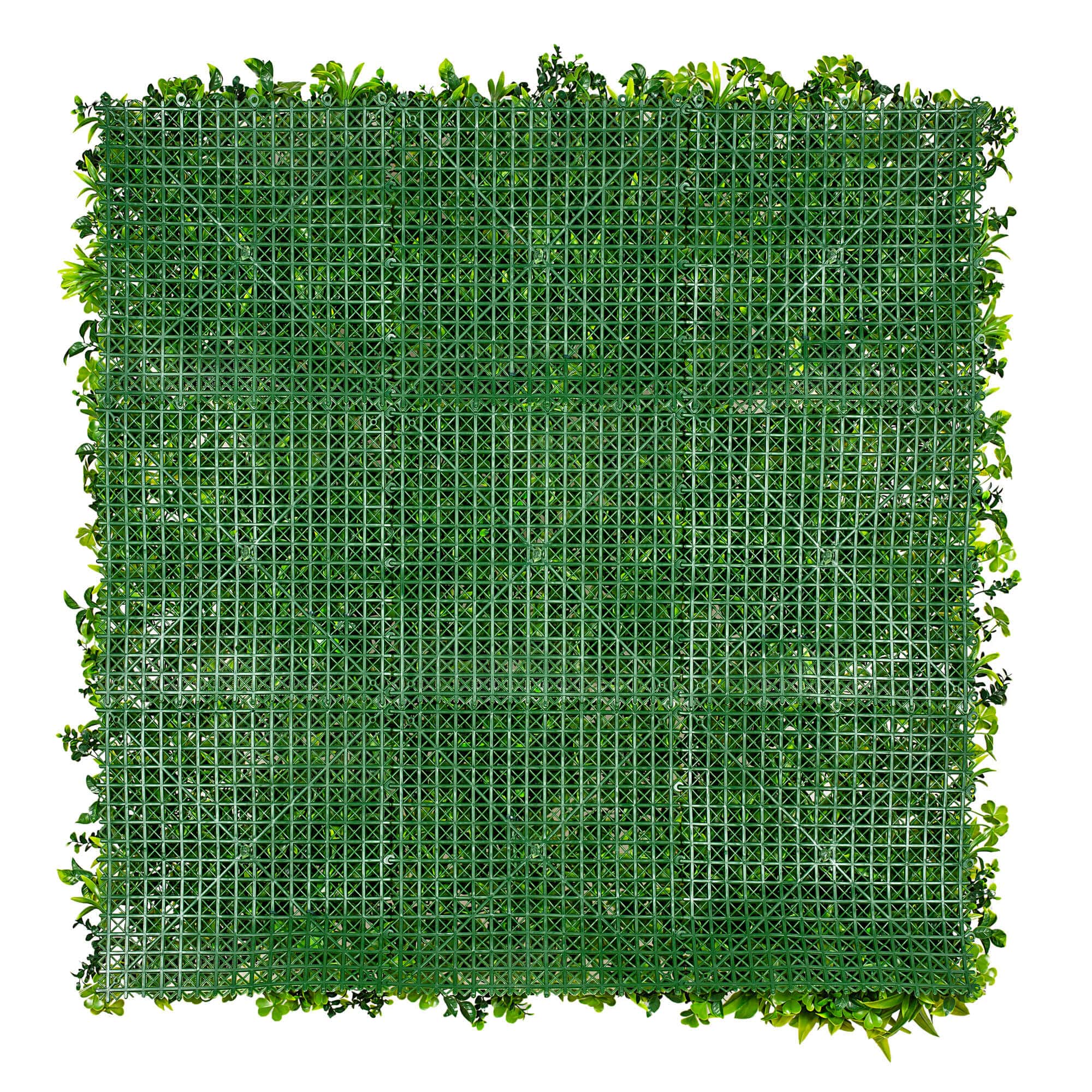 Luxury White Oasis Vertical Garden / Green Wall UV Resistant 1m x 1m Wholesale Hub