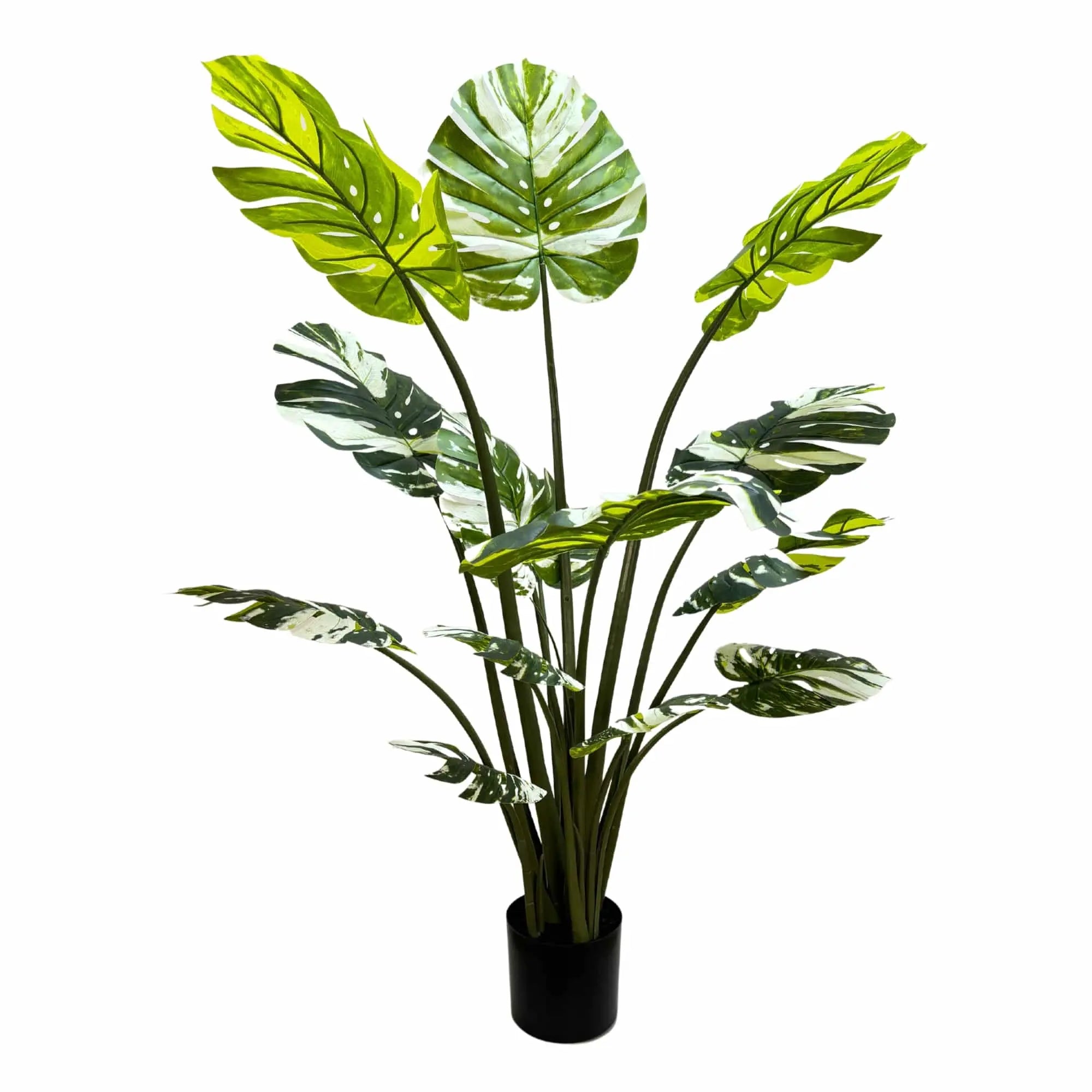 Premium Artificial Potted Monstera Albo 150cm Wholesale Hub