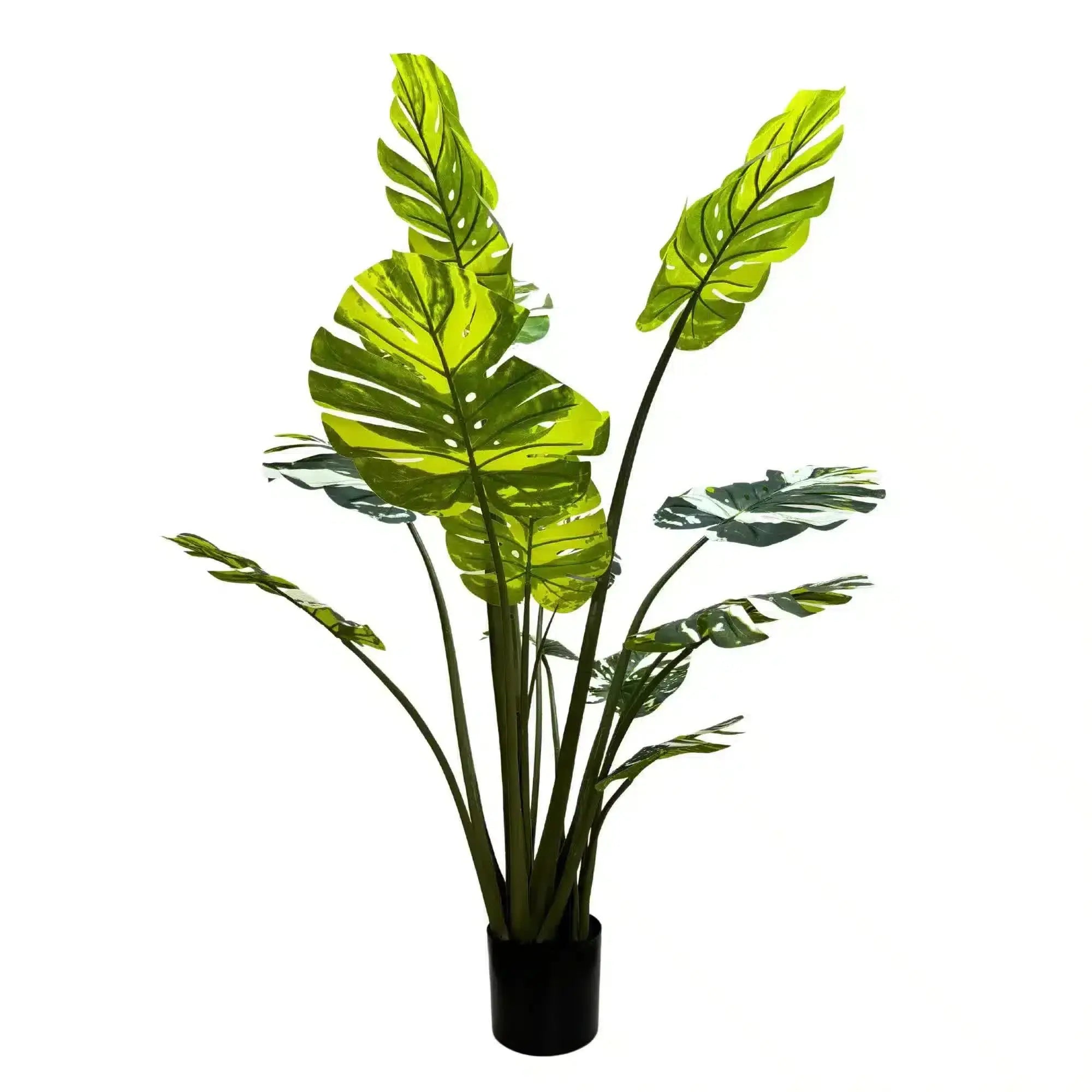 Premium Artificial Potted Monstera Albo 150cm Wholesale Hub