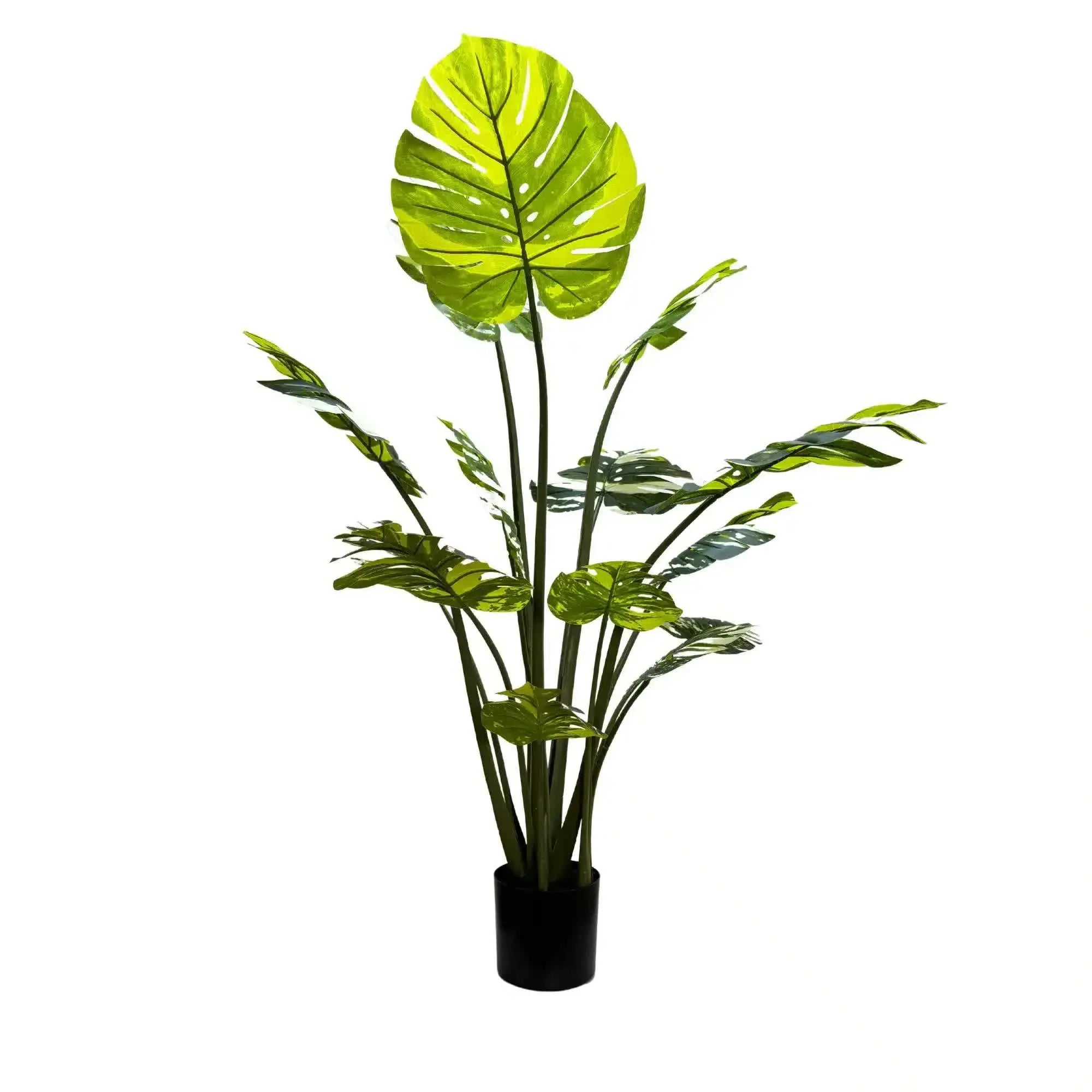 Premium Artificial Potted Monstera Albo 150cm Wholesale Hub