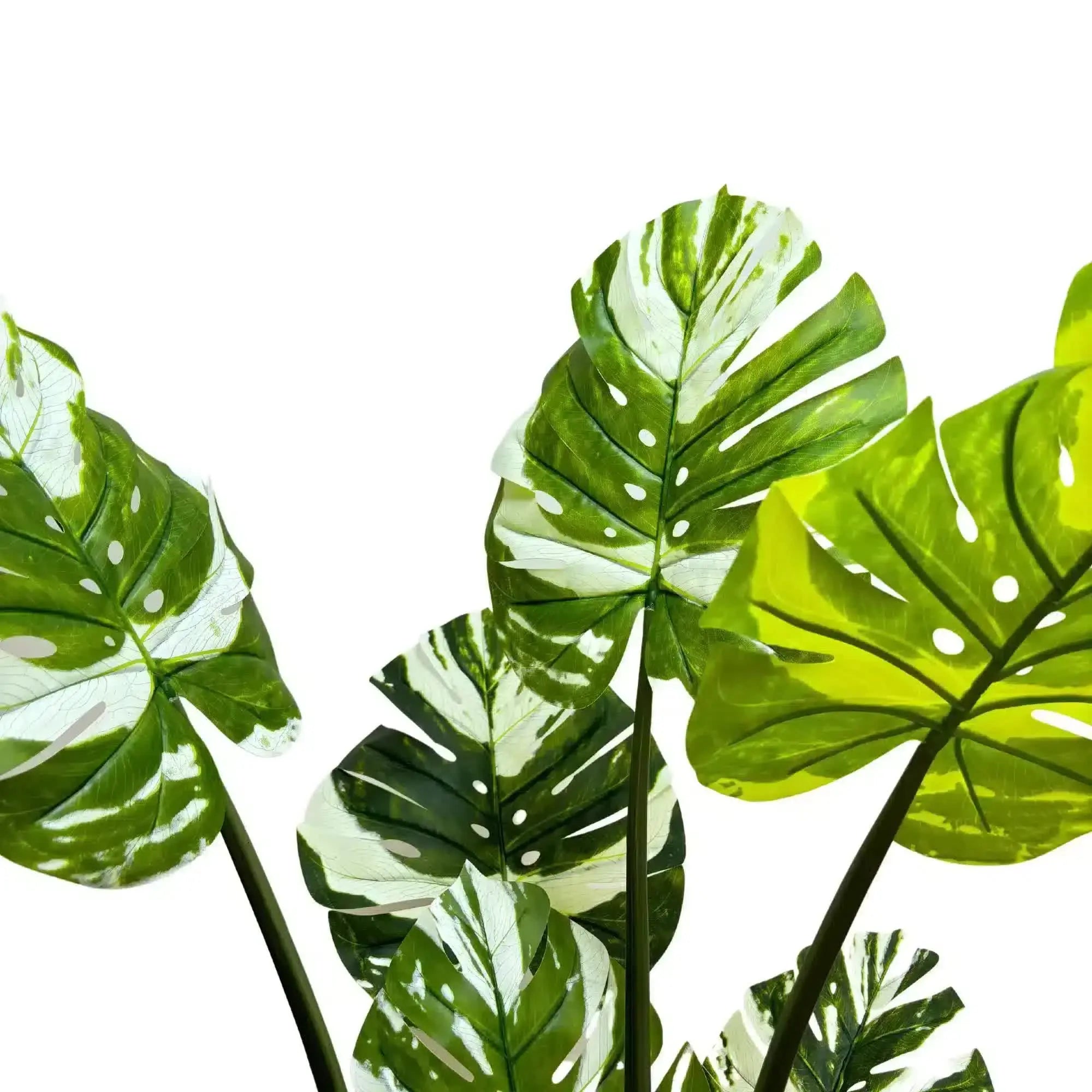 Premium Artificial Potted Monstera Albo 150cm Wholesale Hub
