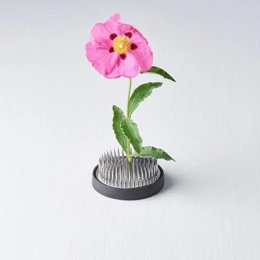 Kenzan Ikebana Pin Base 6cm Round Wholesale Hub