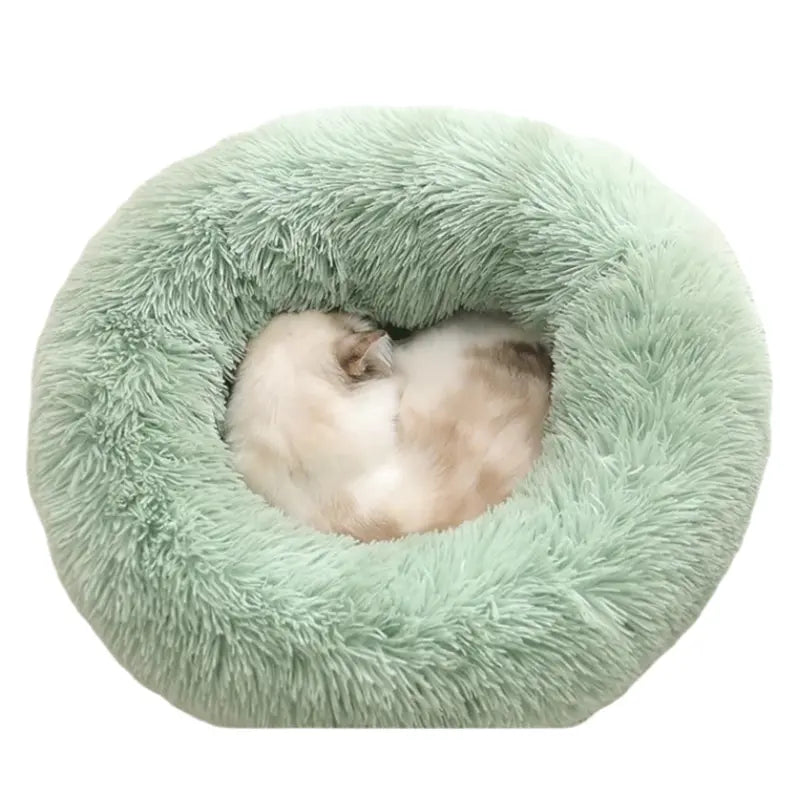Green Cozy Donut Long Plush Cat & Dog Calming Bed(Diameter 50cm) - Double-Layer PP Cotton Filling Warming Pet Bed with Anti-Slip Base & Free Blanket Wholesale Hub