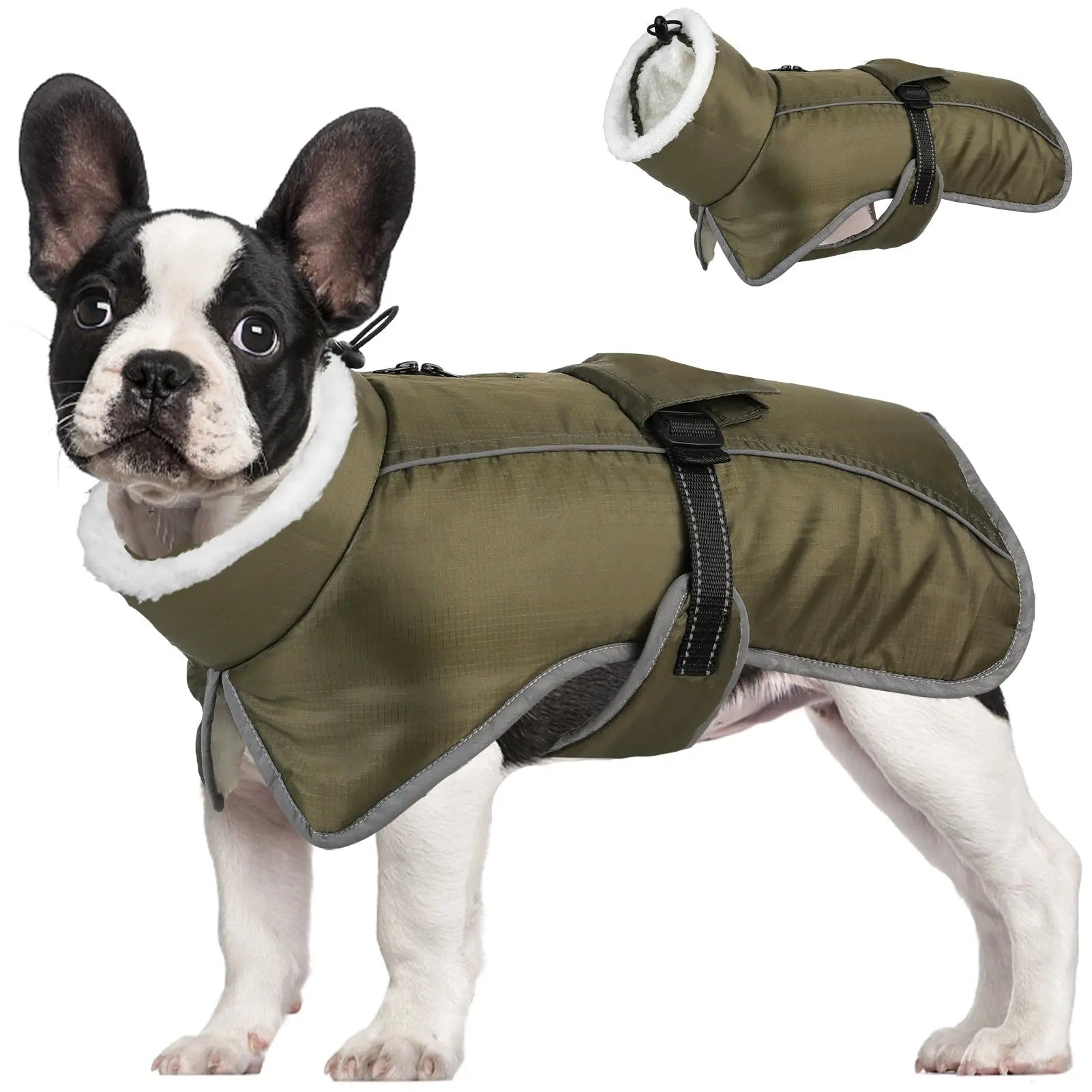 Green Dog Winter Jacket – Warm, Windproof & Waterproof Pet Coat with Fleece Lining and Reflective Strips for Cold Weather(Size: S) Wholesale Hub
