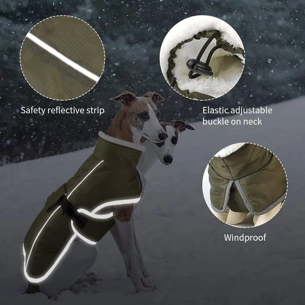 Green Dog Winter Jacket – Warm, Windproof & Waterproof Pet Coat with Fleece Lining and Reflective Strips for Cold Weather(Size: M) Wholesale Hub