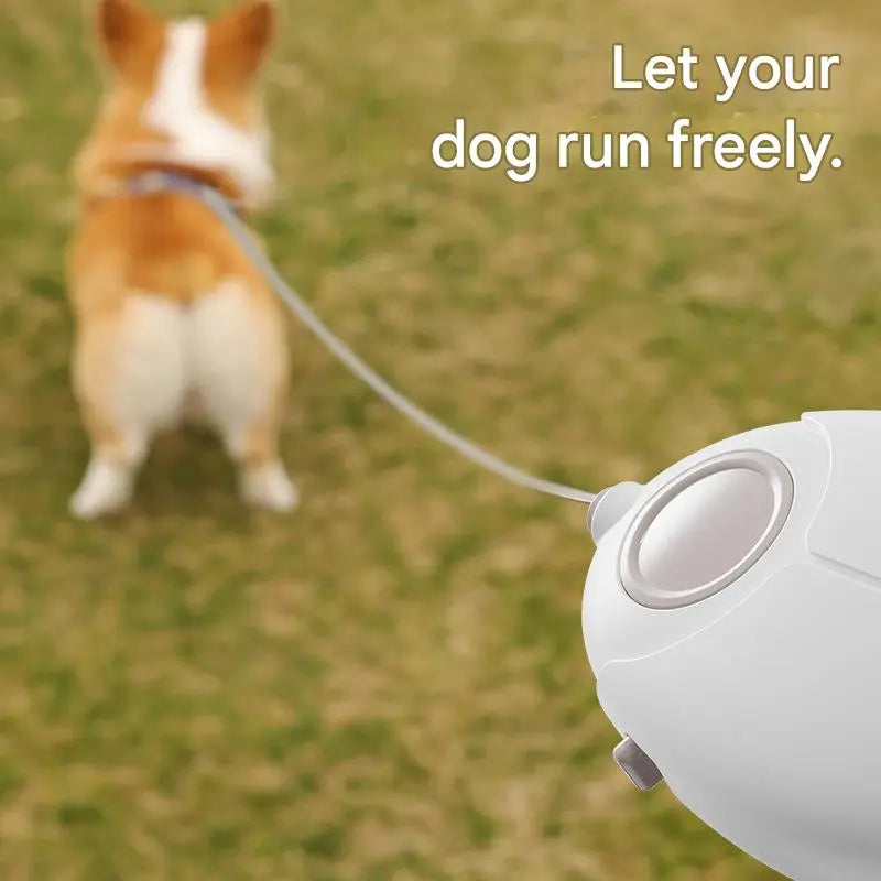 White Retractable Dog Leash with Luminous Rope 3M Anti-Tangle Automatic Extension Pet Walking Rope for Small to Medium Dogs Comfortable Grip and Lightweight Wrist Strap for Night Walks Wholesale Hub
