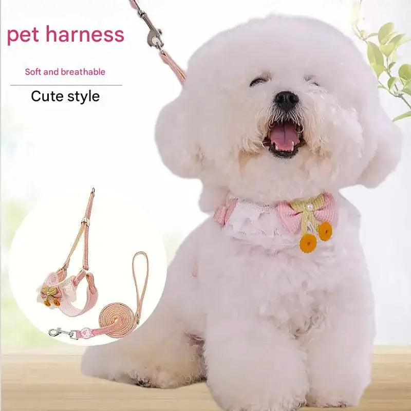 Sky blue Lace Y-Shaped Pet Harness and Leash Set - Breathable Mesh Vest for Small to Medium Dogs and Cats - Comfortable Walking Gear with 150cm Leash(Size:M) Wholesale Hub