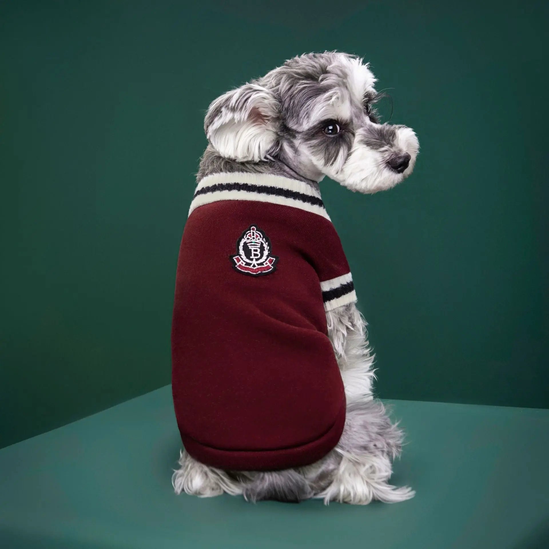 4-Pack XL Size Preppy Style V-Neck Knitted Cotton Pet Sweater - Hair-Resistant & Breathable, Classic Fleece-Lined Pullover for Cats and Dogs(Green + Red + Khaki + Grey) Wholesale Hub